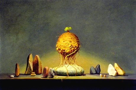 The Celery - oil on panel - 18 x 27 inches - by Marlies Ihmels
