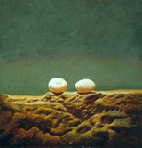 Two Pebbles_oil on panel_ by Marlies Ihmels