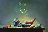 Sprouting Yam by Marlies Ihmels-Herget