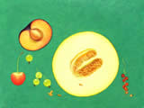 Summer Melon -  oil on paper - by Marlies Ihmels-Herget