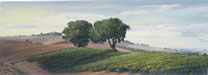 Two Oaks 2006 -  5 x 15 inches - Maddine Insalaco